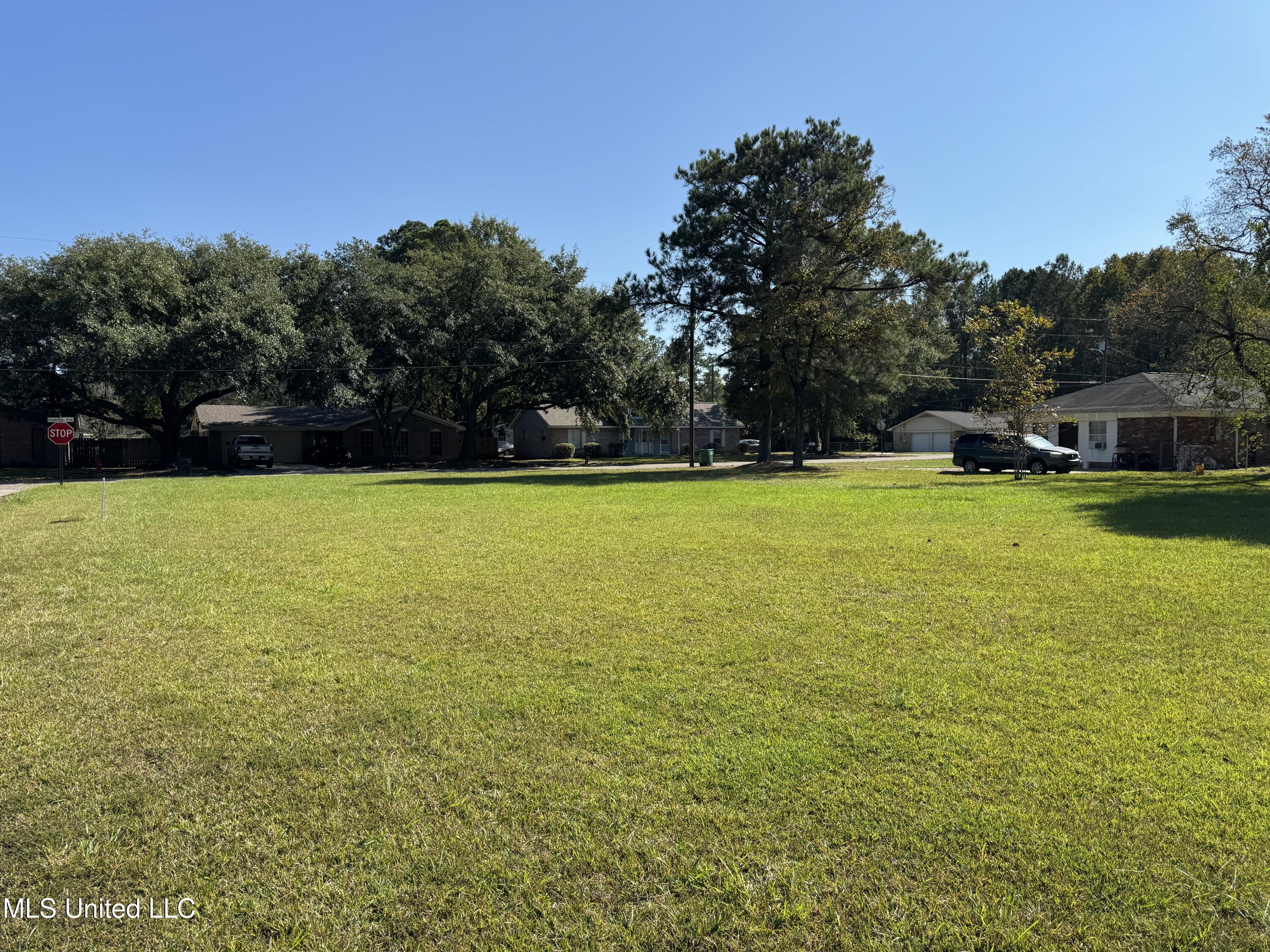 0 Dixie Drive Picayune, MS 39466 - Photo 3 of 3 IMG_3550