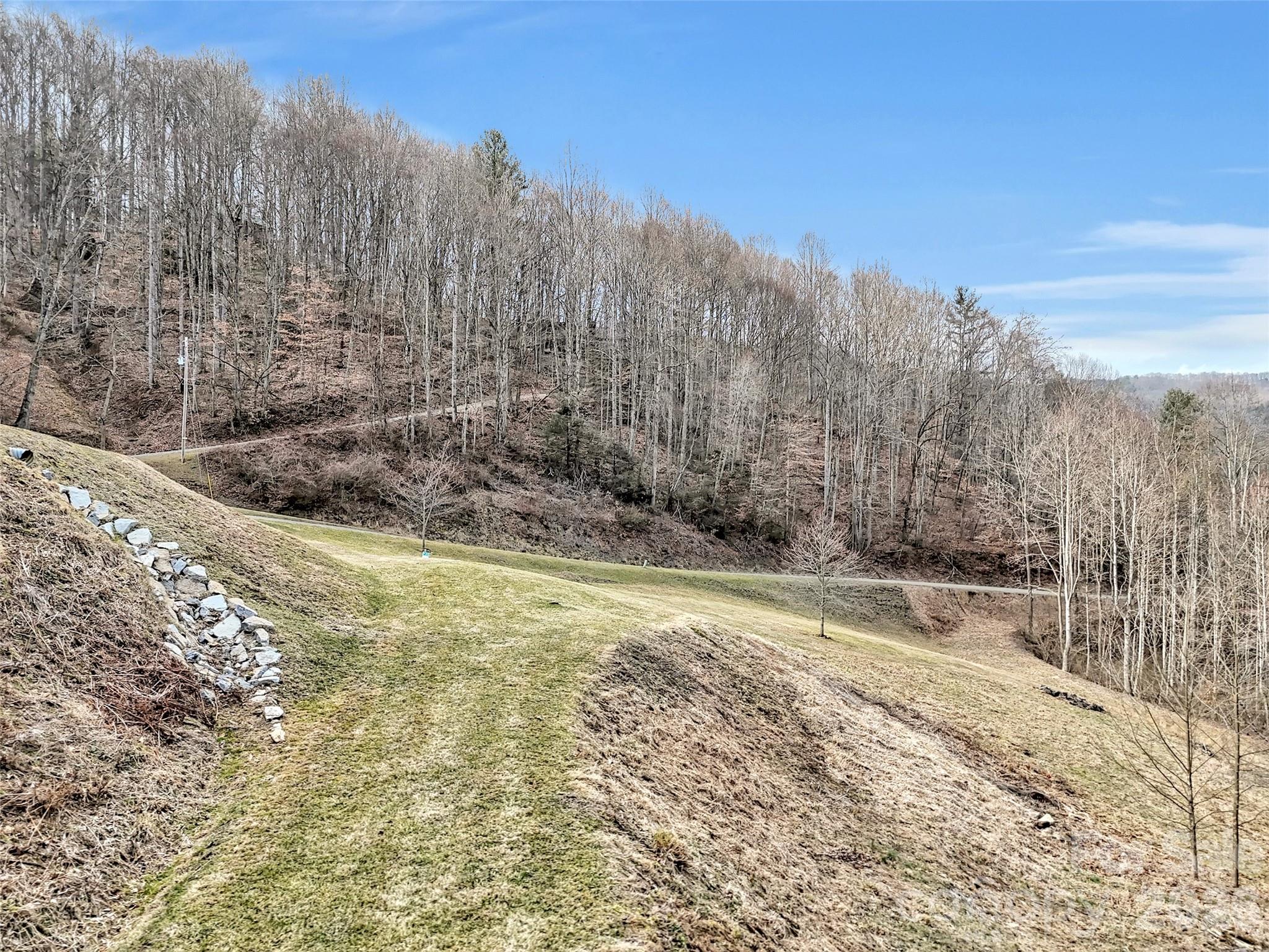 0 Seay Mountain Road Waynesville, NC 28785 - Photo 5 of 17