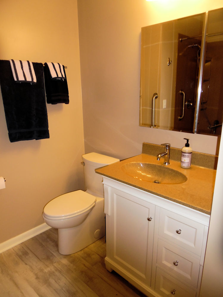 1111 10th Avenue Rochelle, IL 61068 - Photo 11 of 17 a bathroom with a granite countertop sink and a mirror