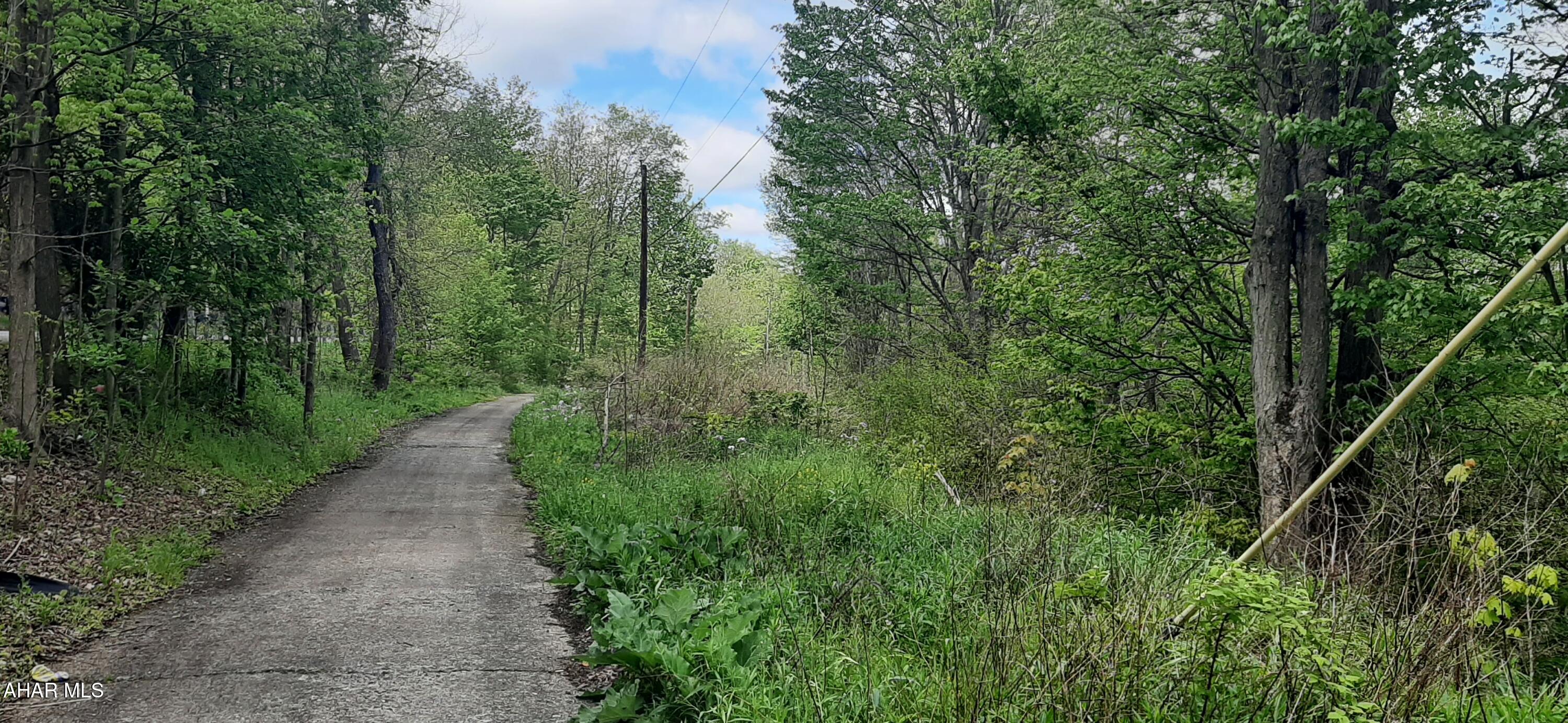 0 Scanlon Hill Road Lilly, PA 15938 - Photo 7 of 7