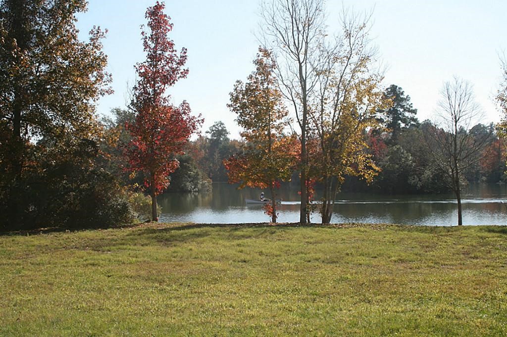 This would be your backyard view.