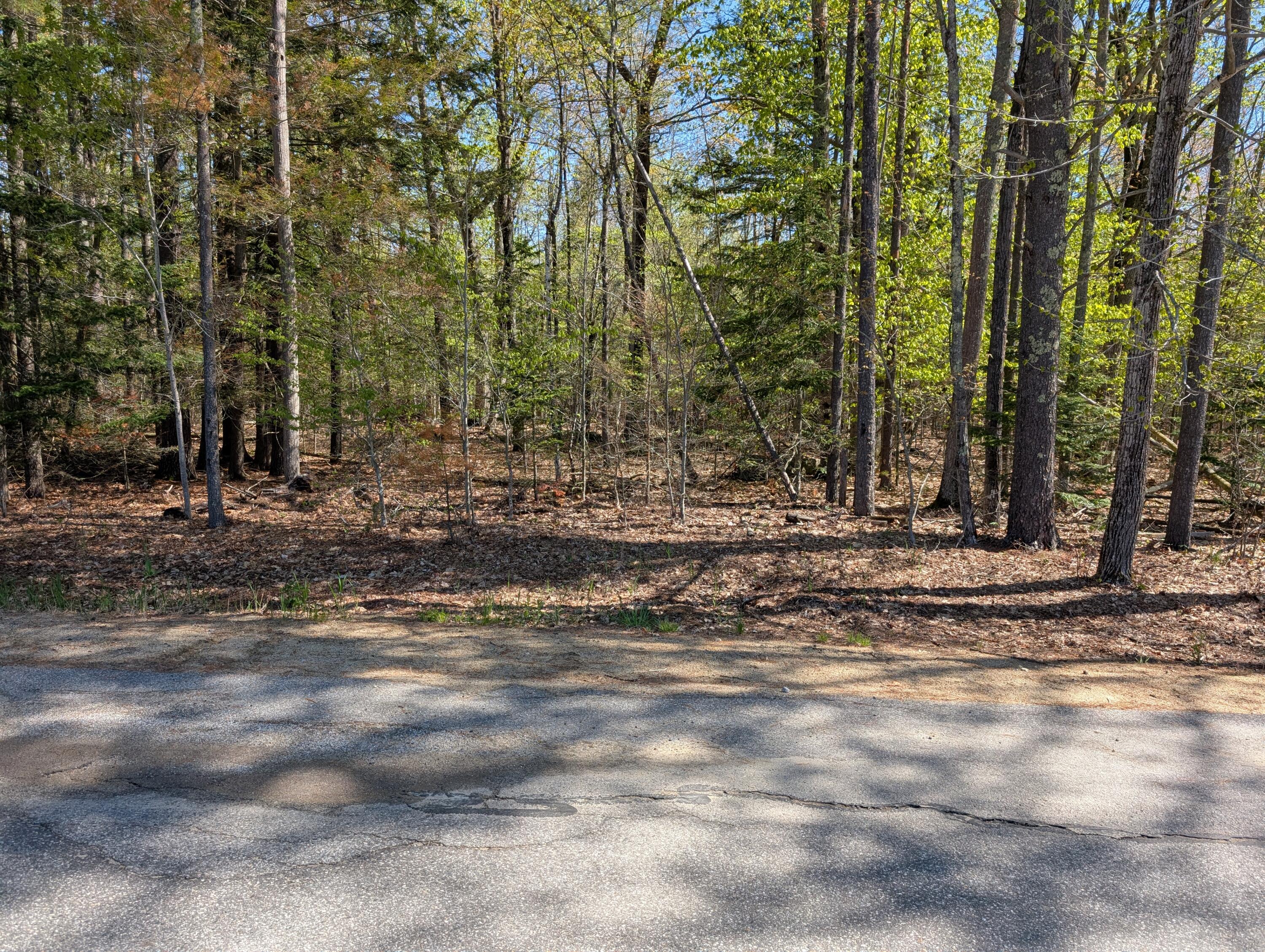 35 McAllister Road Otisfield, ME 04270 - Photo 5 of 7 09