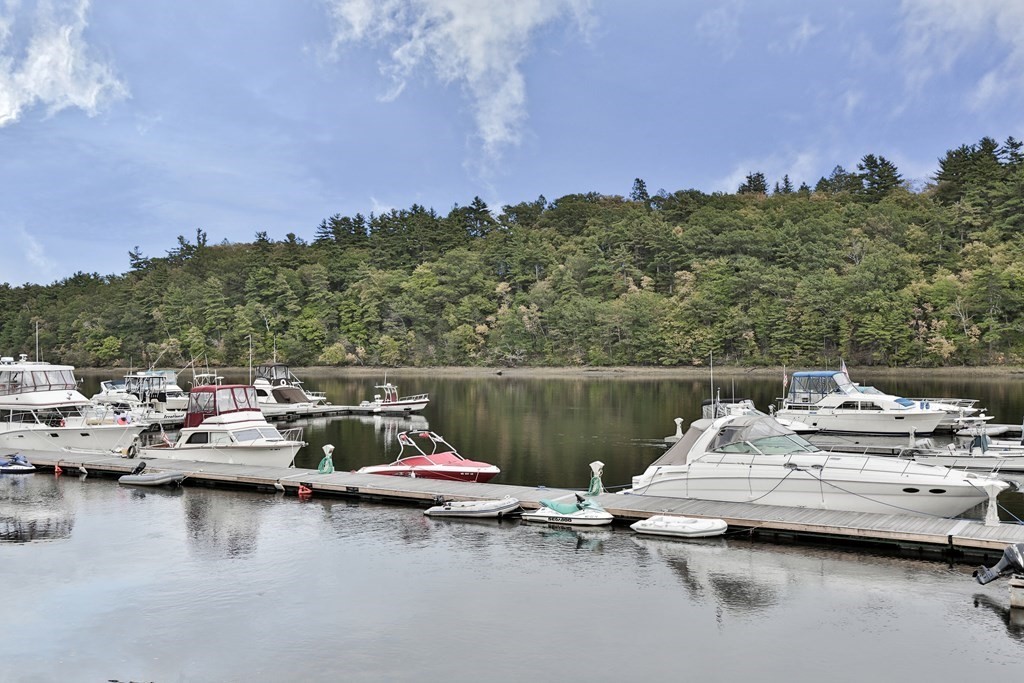 a view of a lake with boats and trees