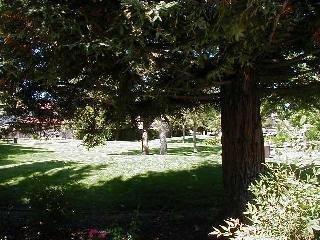 15 Freedom Place Rohnert Park, CA 94928 - Photo 5 of 5 Gallery Image 5