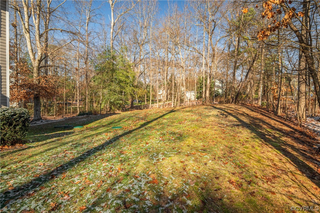 1700 Hybla Road North Chesterfield, VA 23236 - Photo 34 of 37 a view of back yard