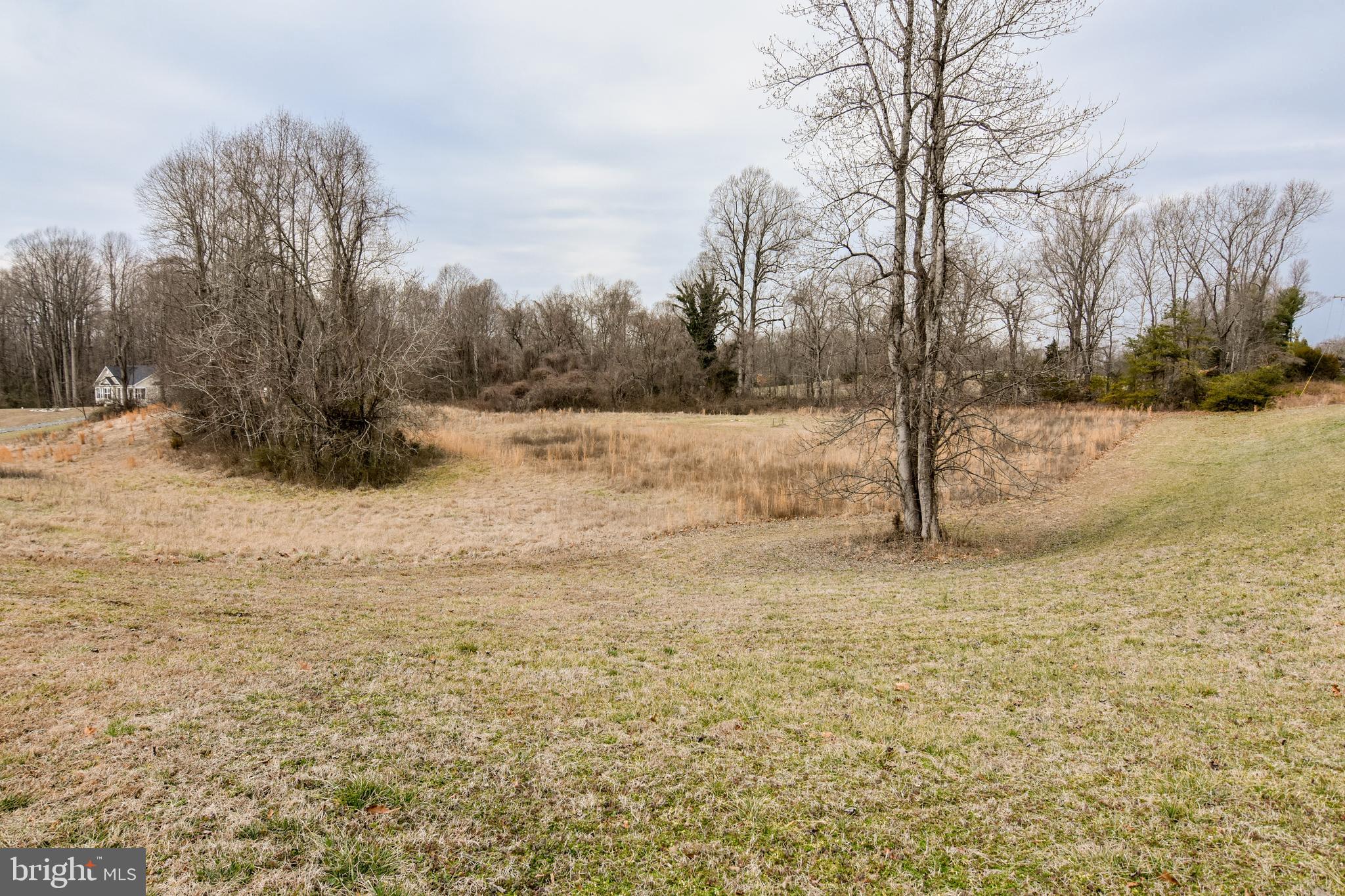 4005 Turkey Foot Road St. Leonard, MD 20685 - Photo 2 of 9 Good Combination of open land and Mature Trees