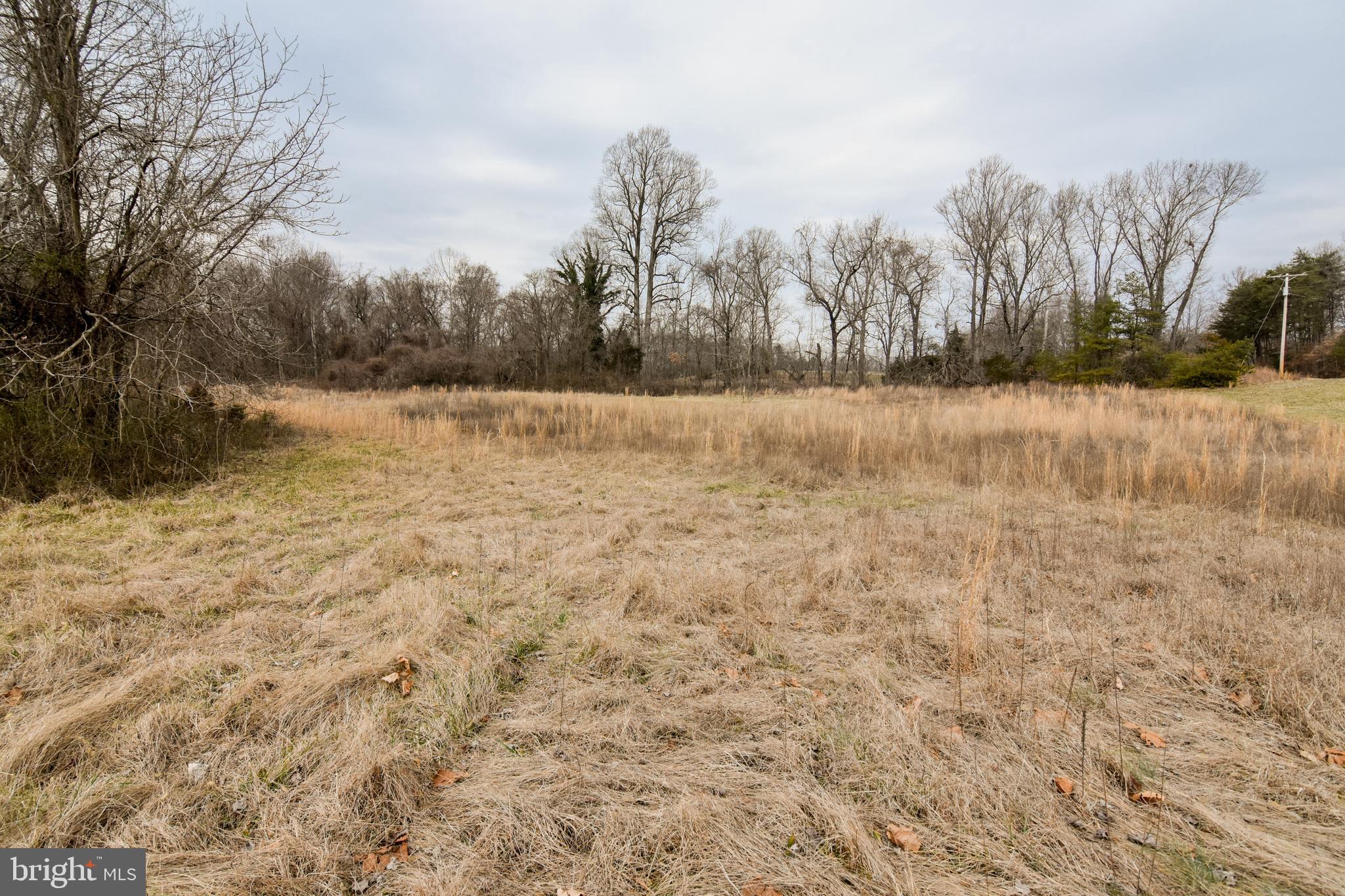 4005 Turkey Foot Road St. Leonard, MD 20685 - Photo 5 of 9 Lots of space to Build Your Dream Home