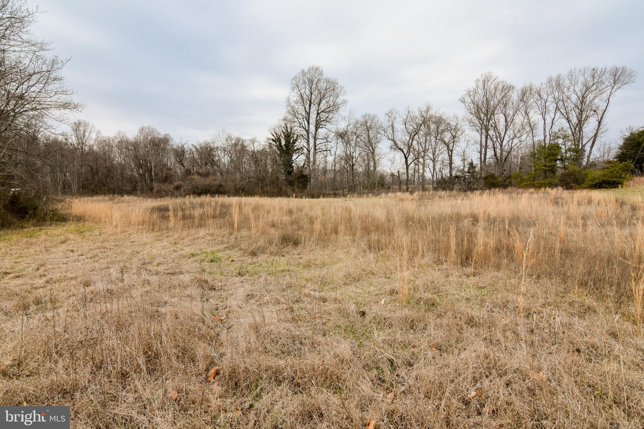 4005 Turkey Foot Road St. Leonard, MD 20685 - Photo 6 of 9 Ready To Build