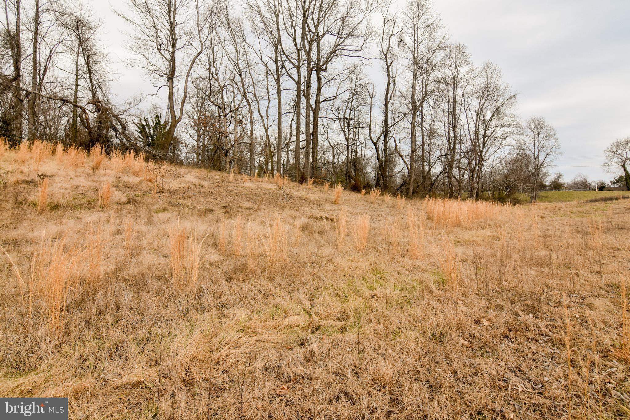 4005 Turkey Foot Road St. Leonard, MD 20685 - Photo 7 of 9 Open and Ready to Build