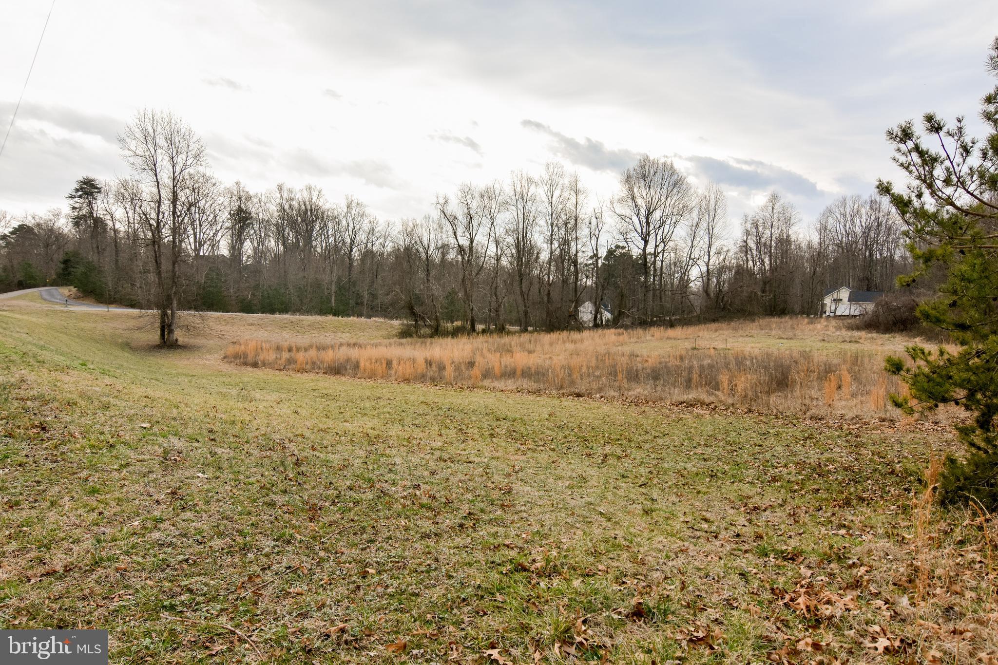 4005 Turkey Foot Road St. Leonard, MD 20685 - Photo 9 of 9 Lovely landscape to build your home