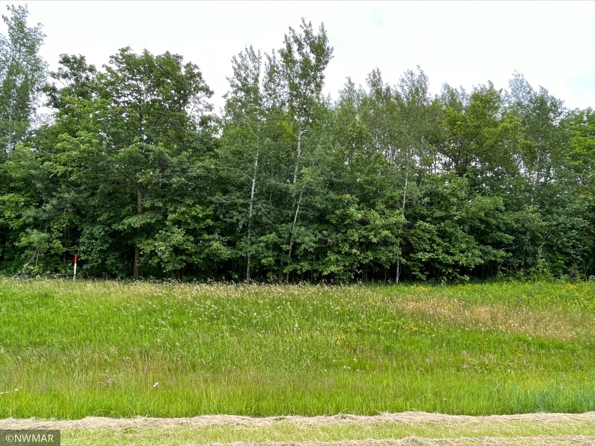 Tbd Great Divide Road Northwest Puposky, MN 56667 - Photo 1 of 1 Gallery Image 1