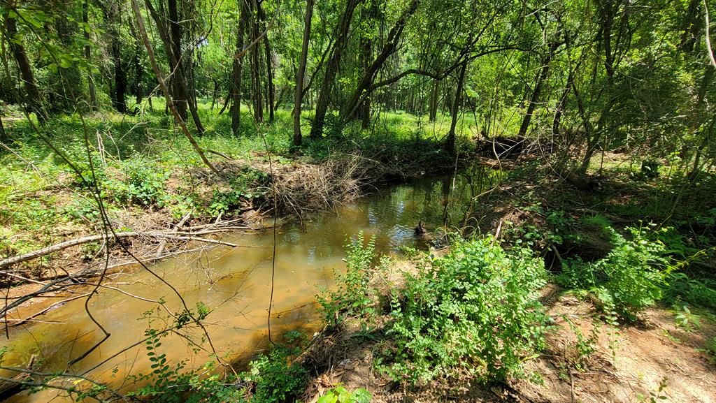7.1-acres Cobb Road Dothan, AL 36301 - Photo 8 of 55