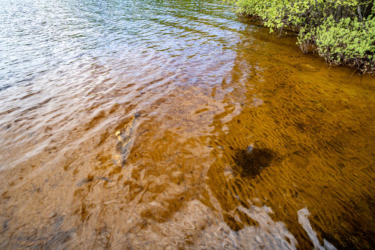 7975 Armour Lake Road Presque Isle, WI 54557 - Photo 10 of 55 Gallery Image 10