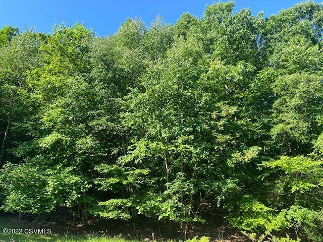 272 Shickshinny Valley Road Shickshinny, PA 18655 - Photo 14 of 14 Gallery Image 14