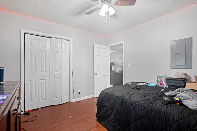 a view of a backyard with pathway