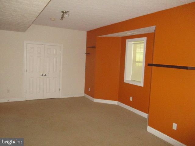 880 Cattail Road Winchester, VA 22603 - Photo 15 of 18 Finished walkout basement!
