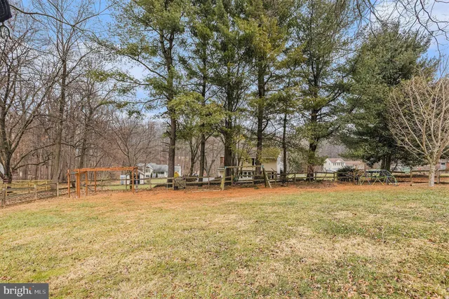 a tall tree is sitting in middle of a yard