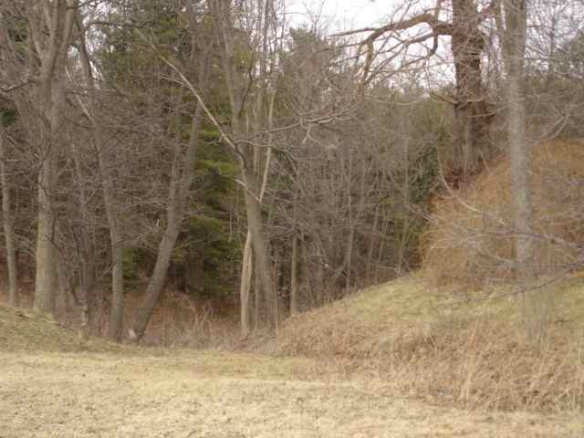 1124 Muitzeskill Road Schodack, NY 12156 - Photo 3 of 5 Photo 3