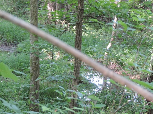 6016 Huntsville-Quality Road Lewisburg, KY 42256 - Photo 11 of 21 Gallery Image 11