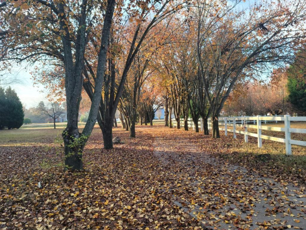 4859 Wrightsboro Road Grovetown, GA 30813 - Photo 2 of 22