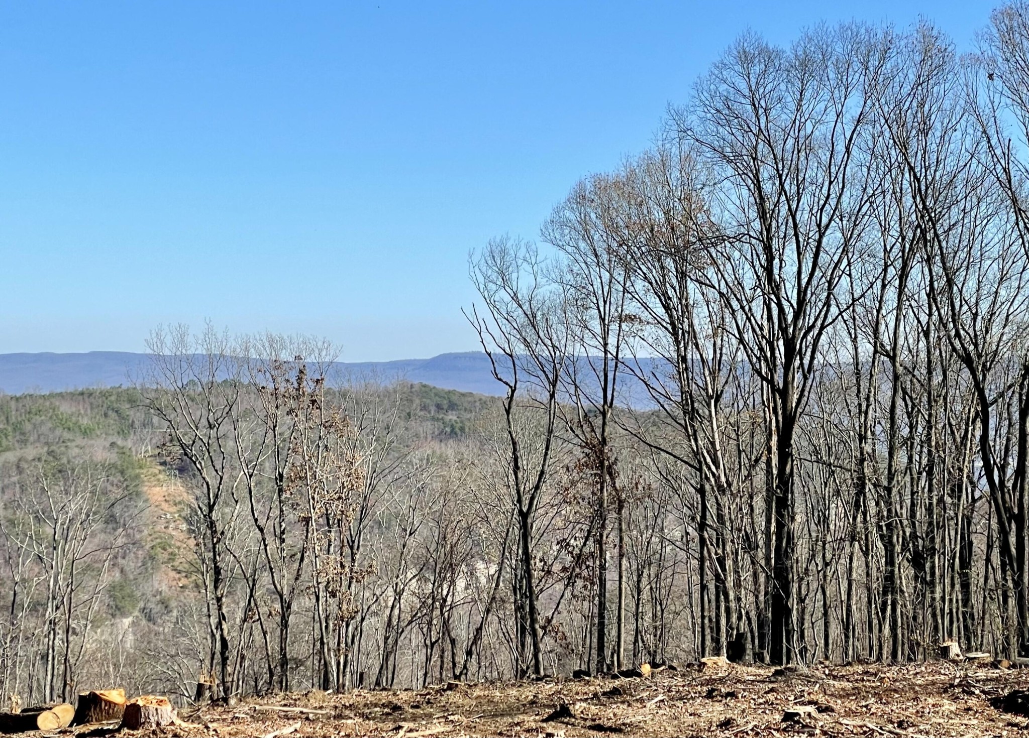 718 Wheeler Road Dunlap, TN 37327 - Photo 20 of 21 Gallery Image 20