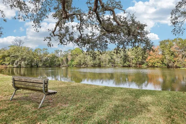 a view of a lake in middle of forest