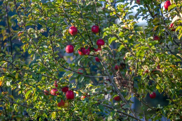 a view of swimming pool with a backyard
