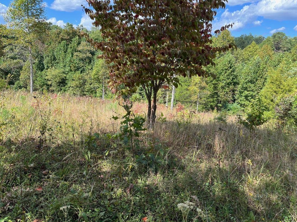 North Sand Ridge Olive Hill, KY 41164 - Photo 3 of 6
