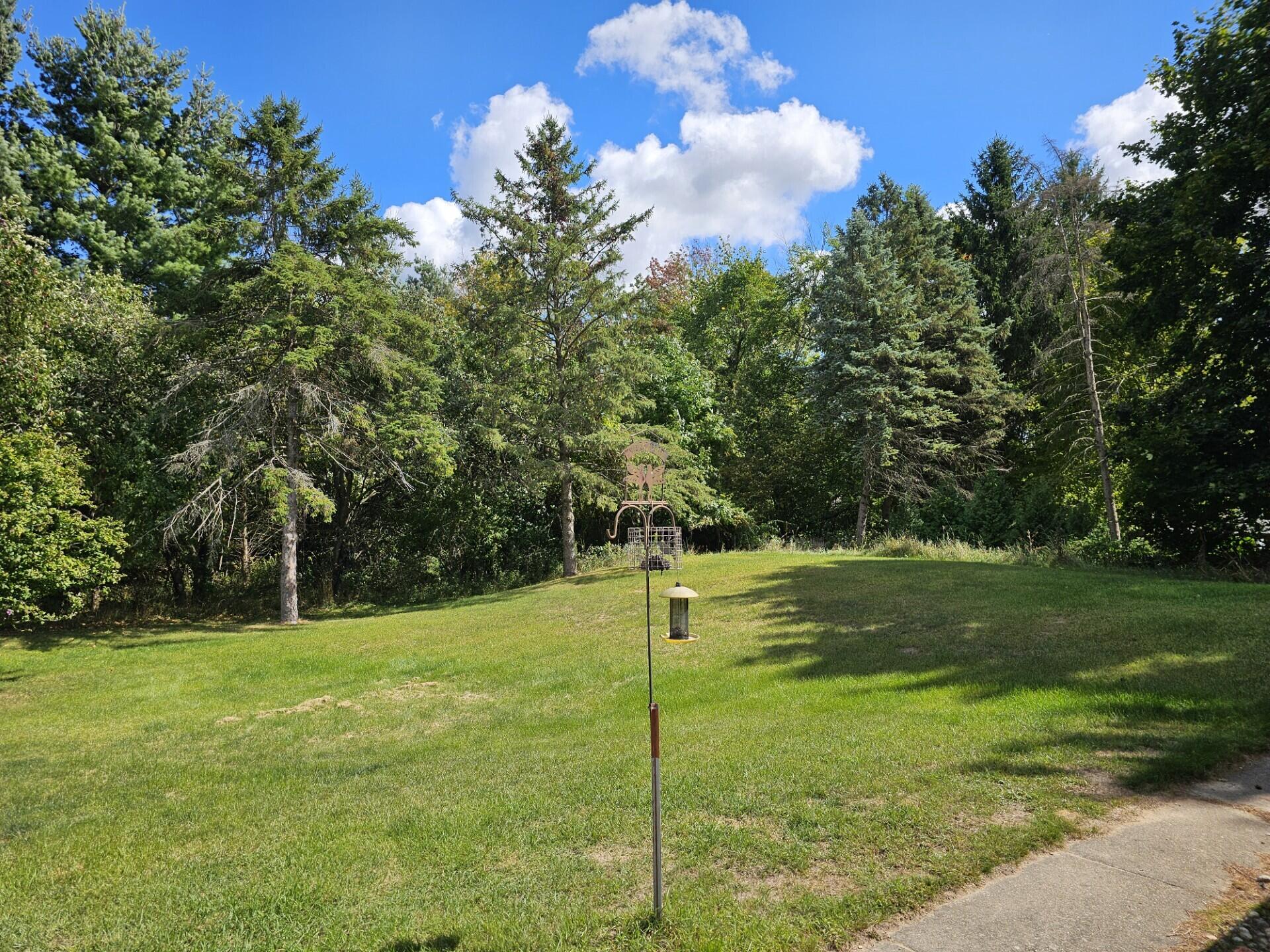 4872 Lester Avenue Fremont, MI 49412 - Photo 32 of 35 Back Yard