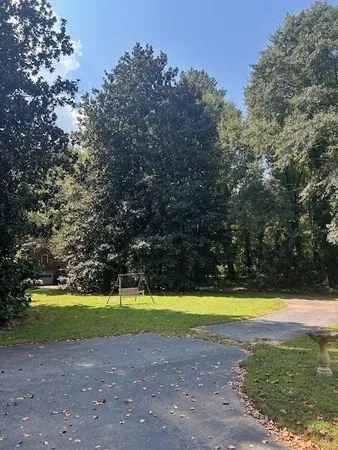 a view of a yard with plants and trees