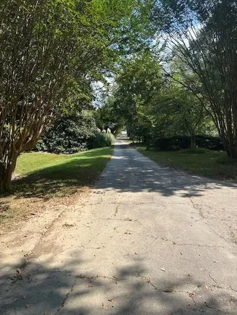 a view of outdoor space with trees all around