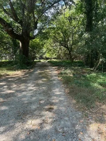 a view of outdoor space and trees