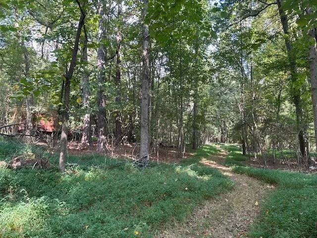 a view of yard with green space
