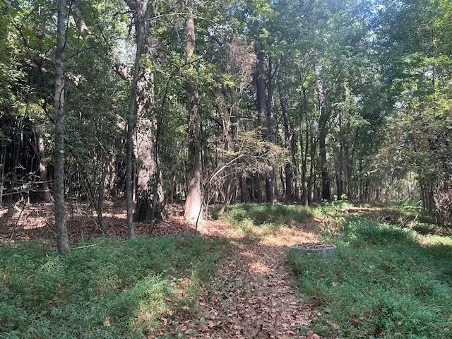 a view of street with parked cars