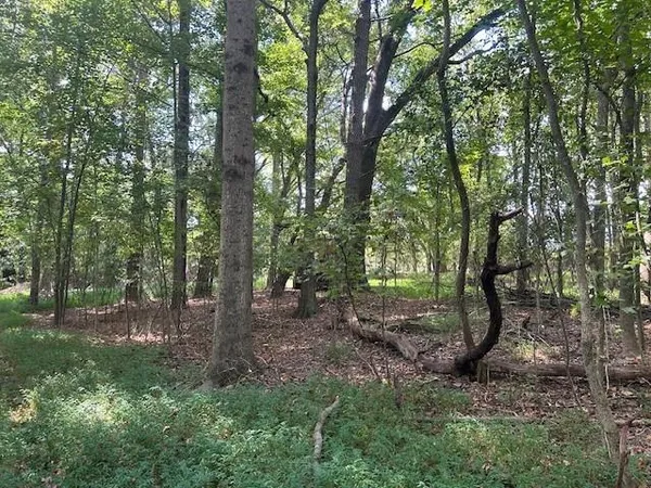 a view of yard with swimming pool and trees in the background