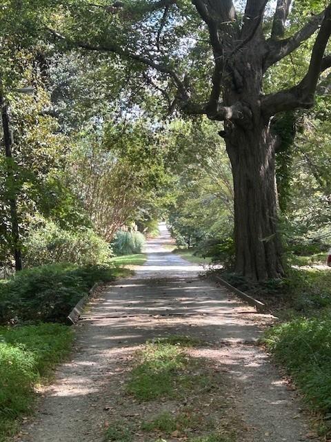 4349 Abbotts Bridge Road Duluth, GA 30097 - Photo 30 of 38 a view of yard with green space