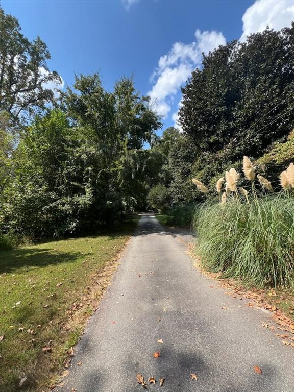 4349 Abbotts Bridge Road Duluth, GA 30097 - Photo 33 of 38 a view of a yard with a tree
