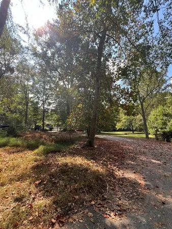 a view of backyard with green space