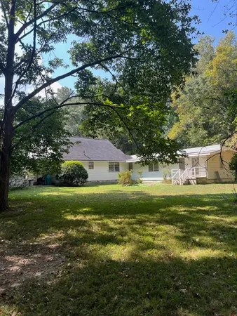 a view of a yard with plants and large trees