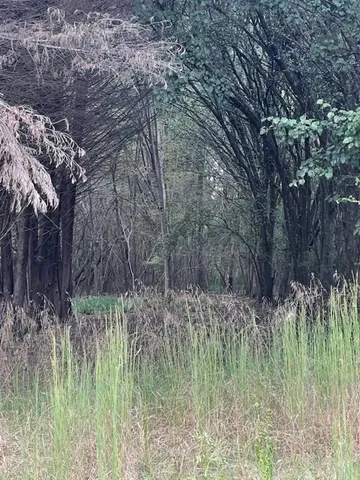 $10,000,000 | 4349 Abbotts Bridge Road, Duluth, GA 30097