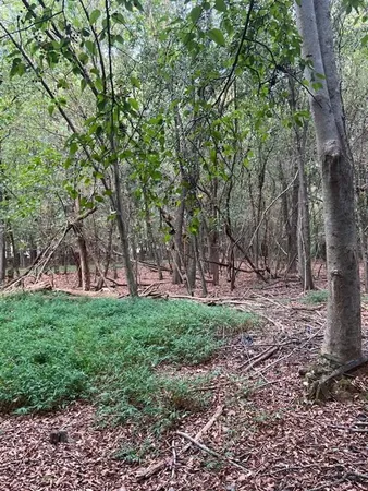 $10,000,000 | 4349 Abbotts Bridge Road, Duluth, GA 30097