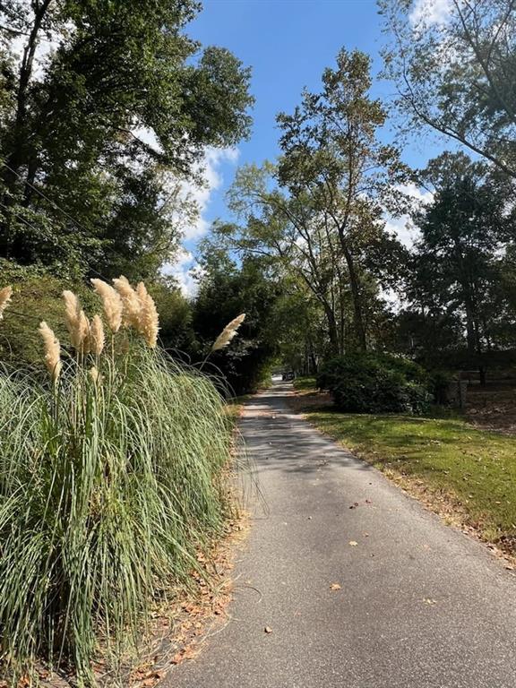 4349 Abbotts Bridge Road Duluth, GA 30097 - Photo 38 of 38 a view of a yard with plants and large trees