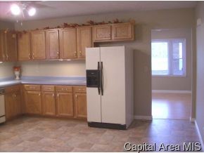 1115 North 12th Street Springfield, IL 62702 - Photo 2 of 9