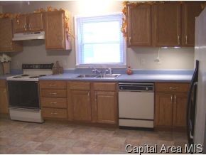 1115 North 12th Street Springfield, IL 62702 - Photo 3 of 9