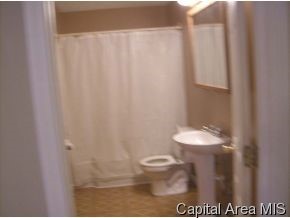 1115 North 12th Street Springfield, IL 62702 - Photo 8 of 9