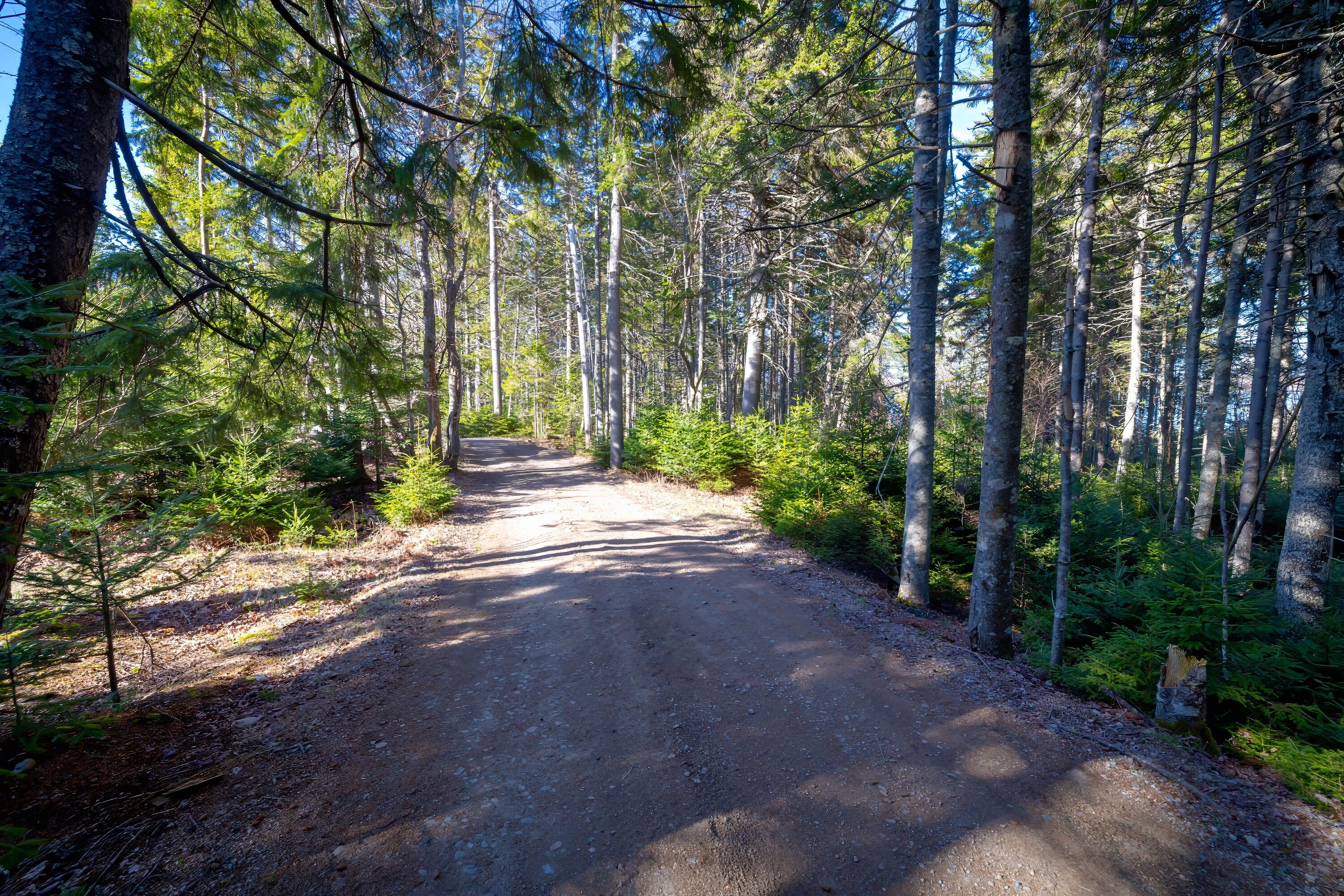 Lot 17 Wilderness Shore Road South Steuben, ME 04680 - Photo 12 of 12
