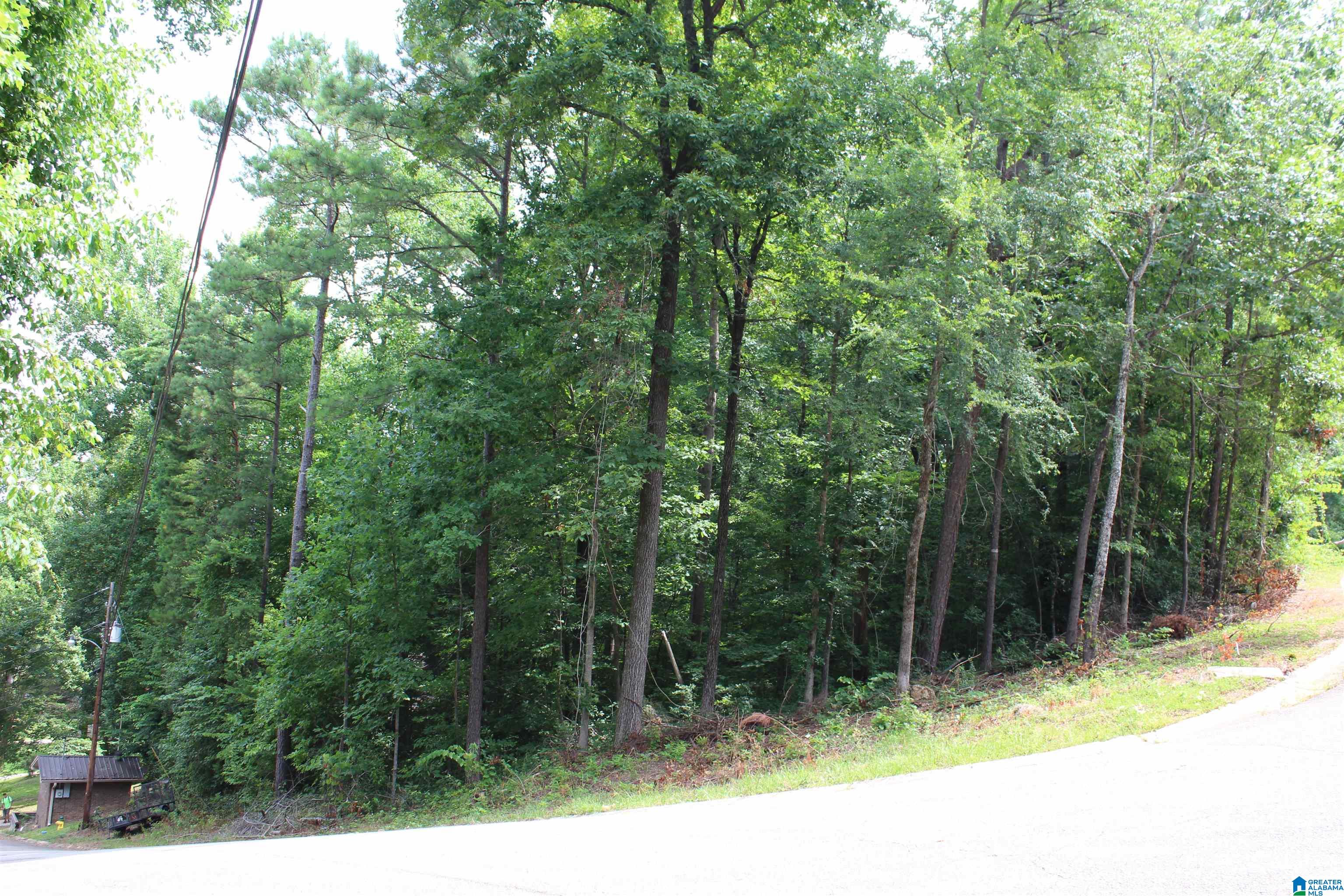 0 Ridgewood Lane, Unit 4&5 Moody, AL 35004 - Photo 9 of 12