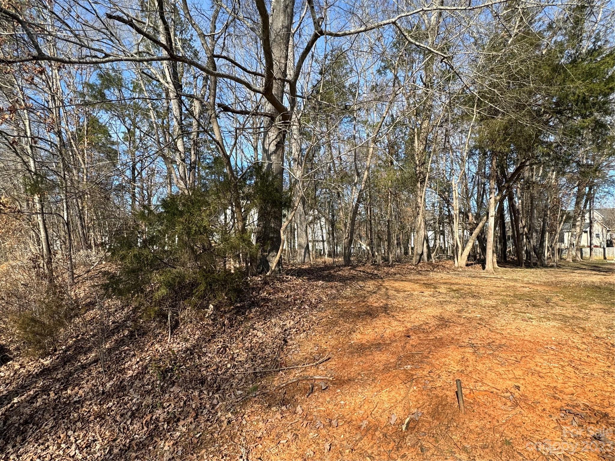 0 Sharon Lane Lancaster, SC 29720 - Photo 2 of 2 a view of a yard with trees
