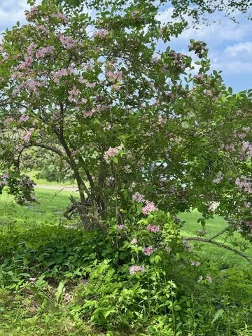 $399,000 | 219 Talbot Avenue, Rockland, ME 04841