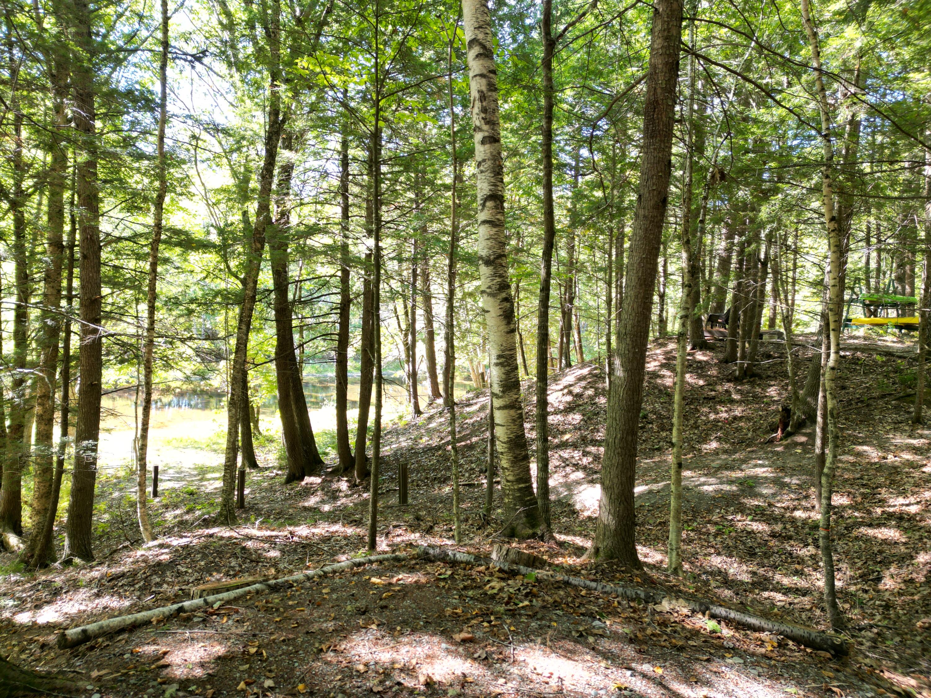 27-29 Loop Road Chester, ME 04457 - Photo 44 of 46 DJI_0037